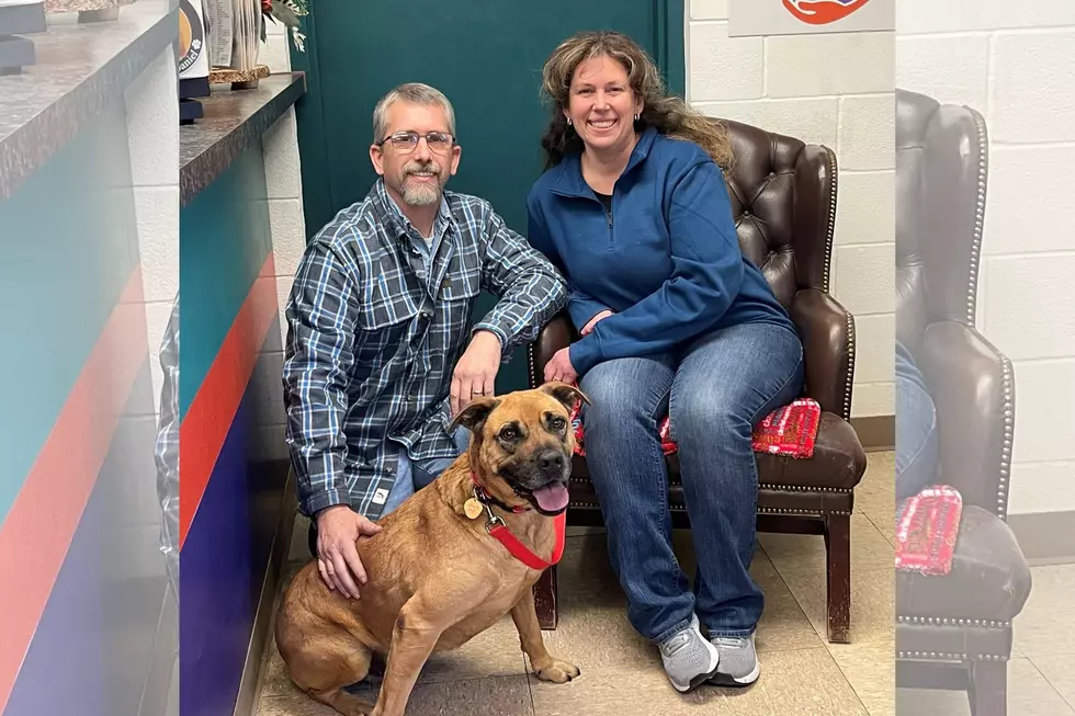 After 844 Days in a Tyler, TX Animal Rescue Hank is Going Home!