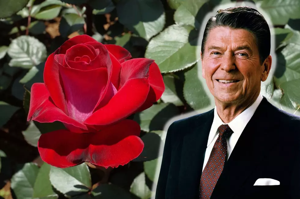 What President Reagan Wanted to Take Home from Tyler, TX in the Year 1980