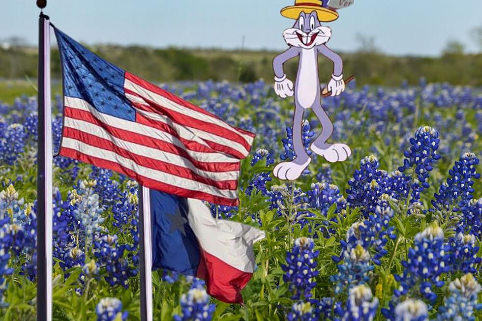 The 7 Most Interesting TEXAS Facts I Guarantee You Did Not Know
