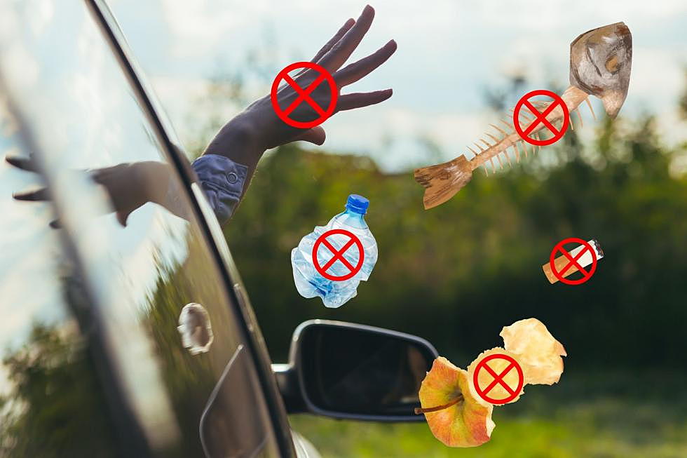 The 1 Thing You Can Legally Throw Out of Your Car Window in Texas