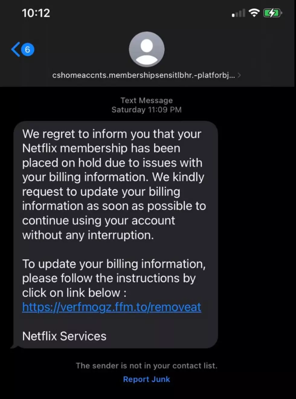 Netflix Scam