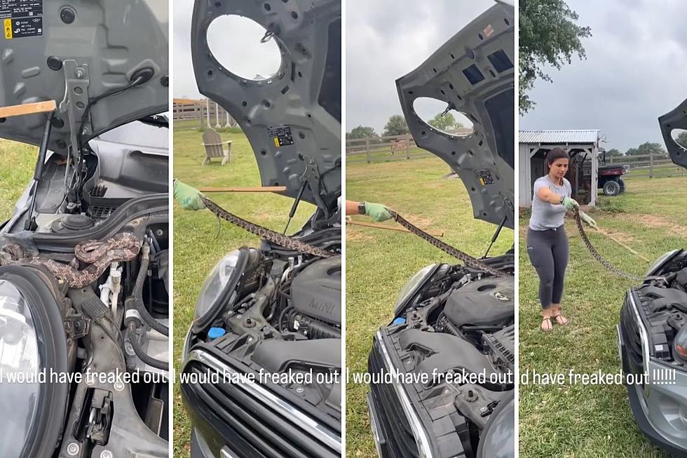 A Chicken Snake in an Engine is No Problem for this Burton, Texas Mom