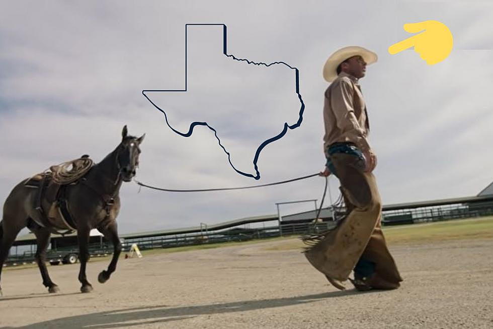 The 9th Largest Landowner in Texas is a Famous American Filmmaker
