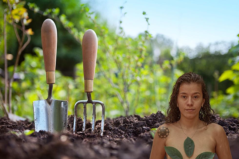 2 Texas Cities Ranked High for Best Cities for Naked Gardening