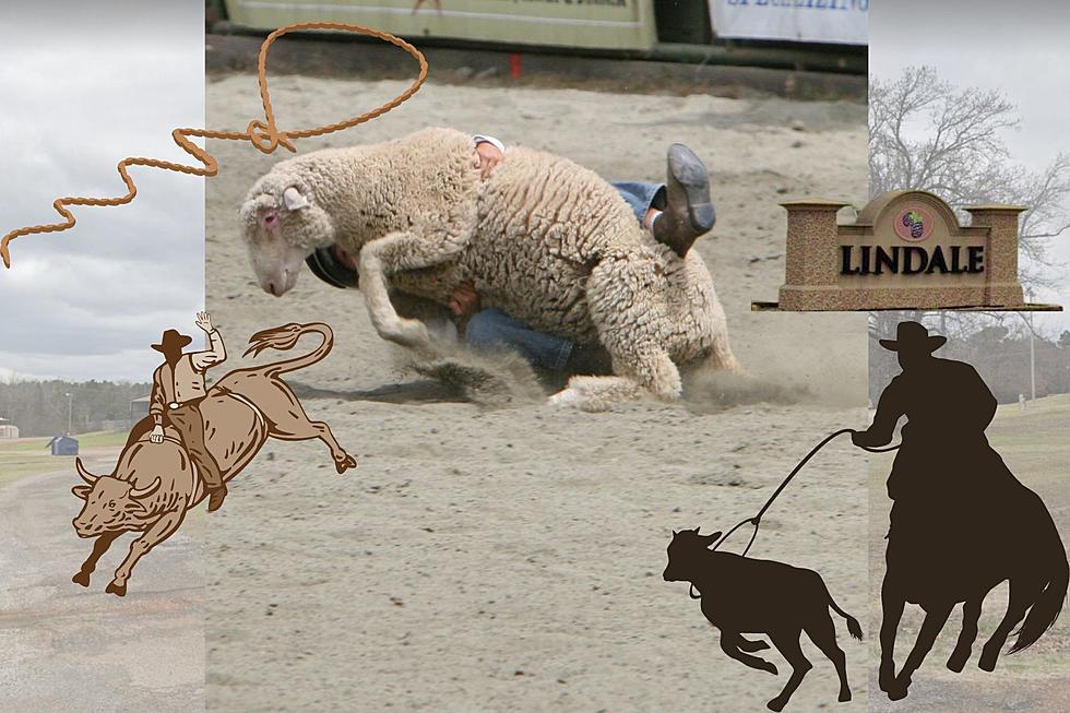 So Much Fun! Kids Mutton Bustin&#8217; This Weekend in Lindale, Texas