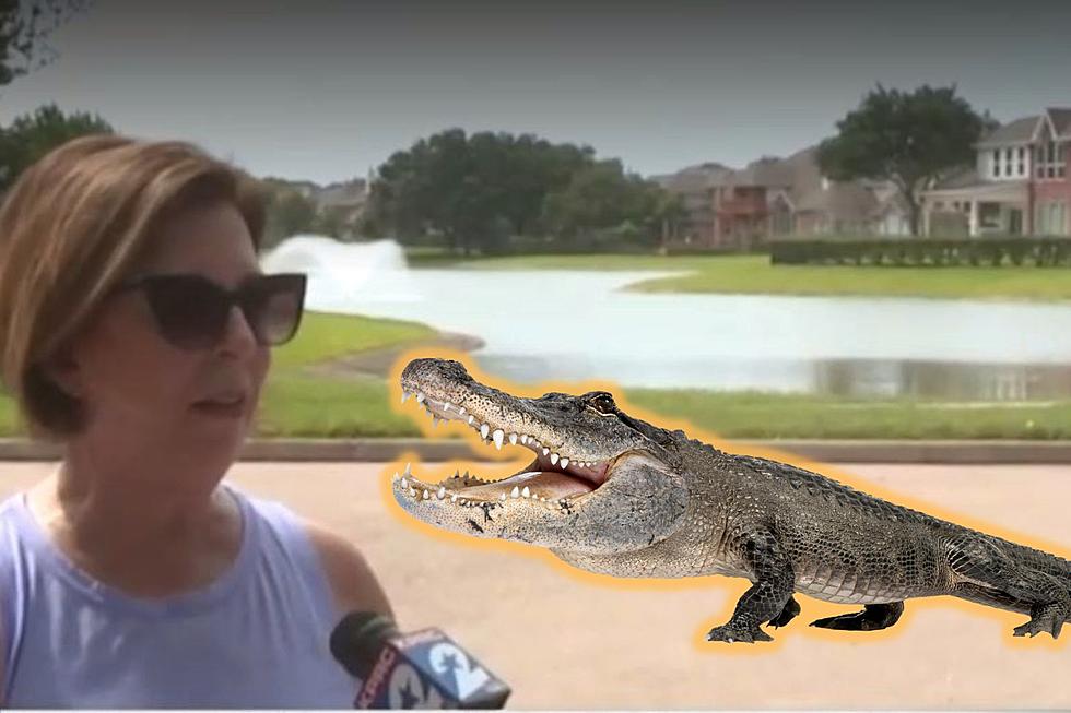 WATCH: Alligator Has Become a Little Too Close for Comfort in One Texas Neighborhood