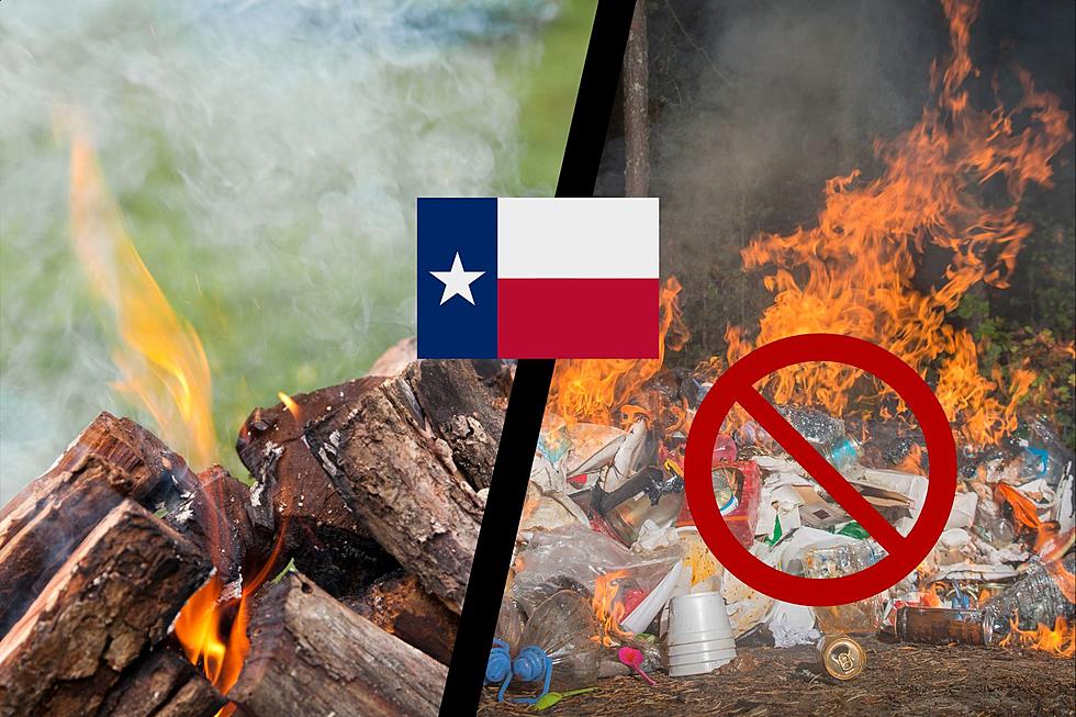 12 Tips and Rules for Outdoor Burning in the State of Texas