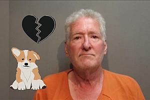 Man Drowned 9 of His Daughter’s Puppies, Arrested in Wood County,...