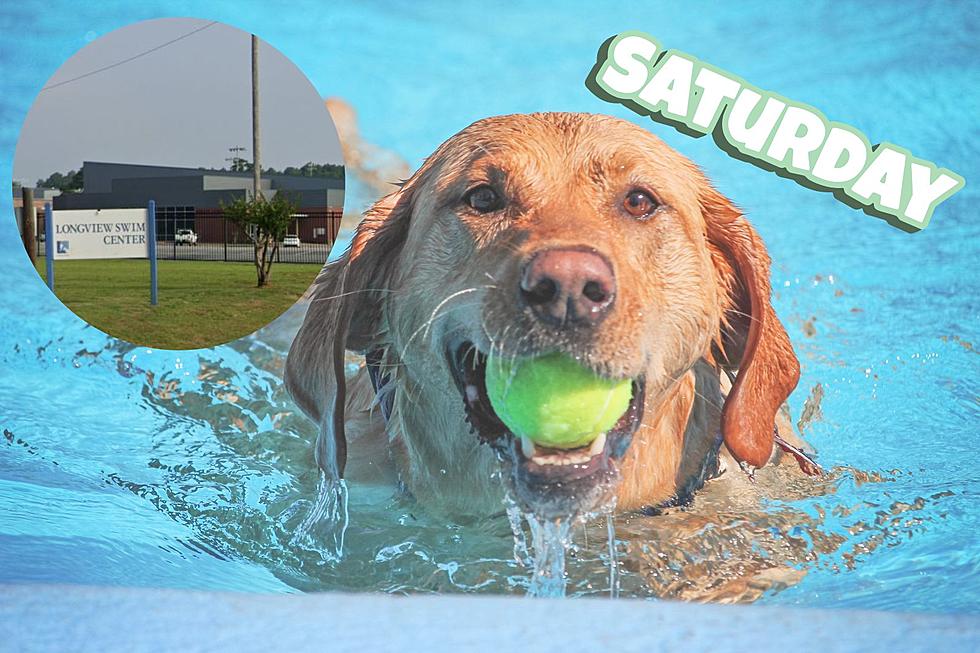 The ‘Dog Days of Summer’ Swimming Event in Longview, TX on Saturday