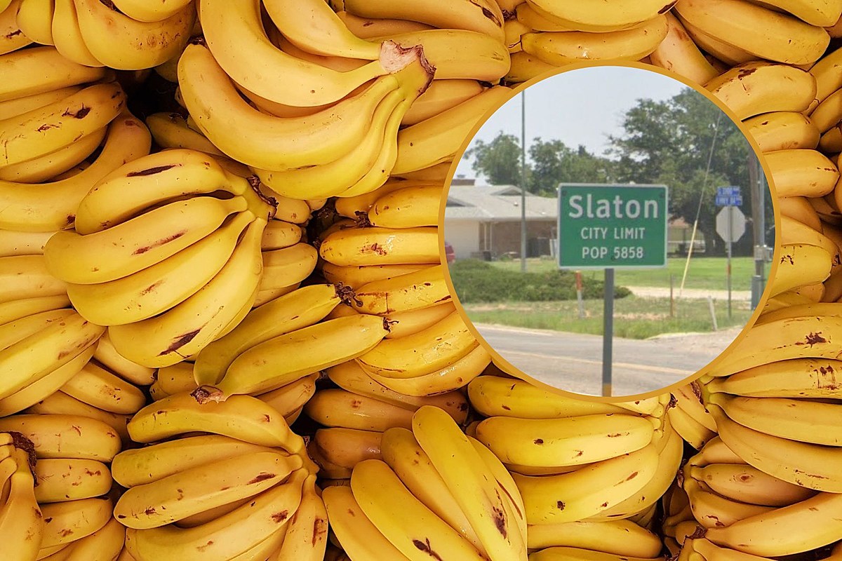 A 100YearOld Texas Bakery to Host 1st Ever Banana Pudding Fest