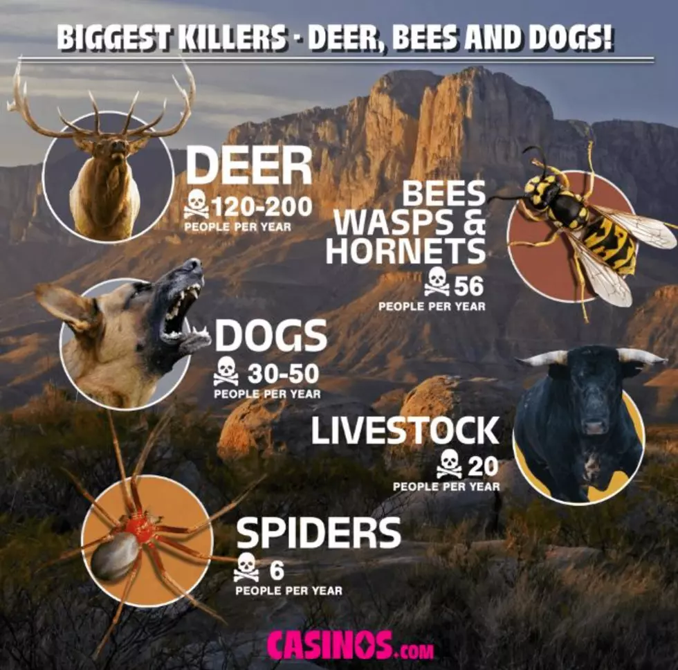 Casinos.com