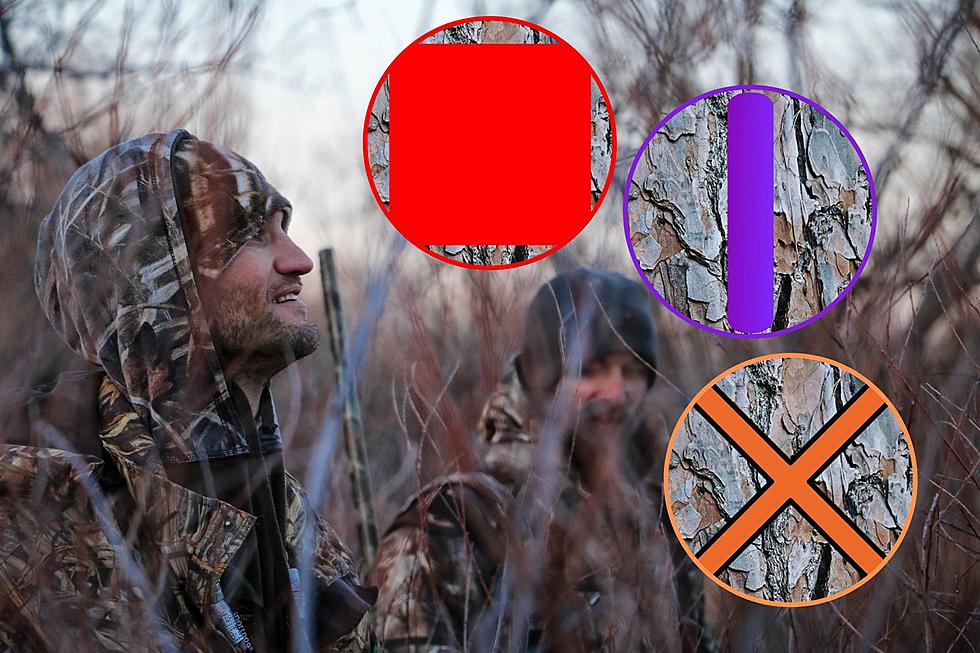 8 Painted Symbols on Texas Trees You NEED to Know Before Hunting