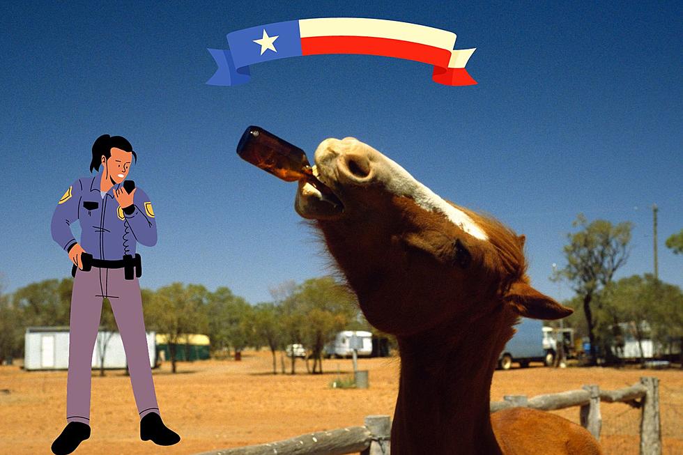 Can You Legally Ride a Horse and Drink a Beer in Texas?
