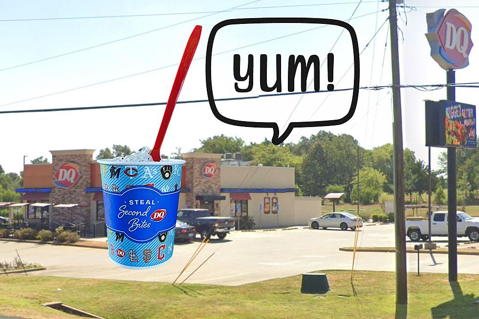 Texas Royalty: The Most Popular Dairy Queen Blizzard Flavors