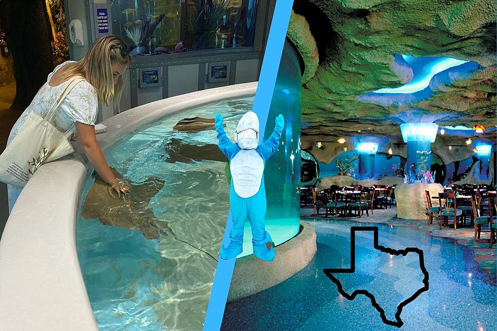 There Are 2 Amazing Aquarium Restaurants in Texas!