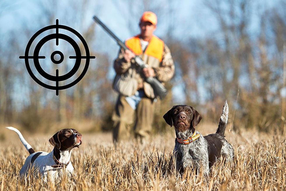 Man Says These are the 5 BEST Public Hunting Spots in Texas