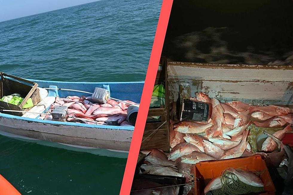 Texas Officials Seize 2,600+ Lbs. of Fish, Caught Illegally
