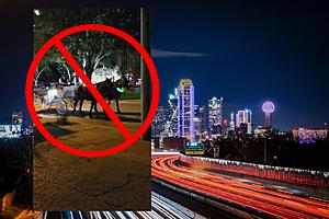 The City of Dallas Plans to Vote on a New Ban That Could Put...