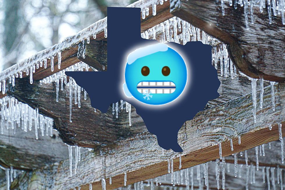 We are Enjoying False Spring Right Now in Texas Which Means Second Winter is Coming Soon