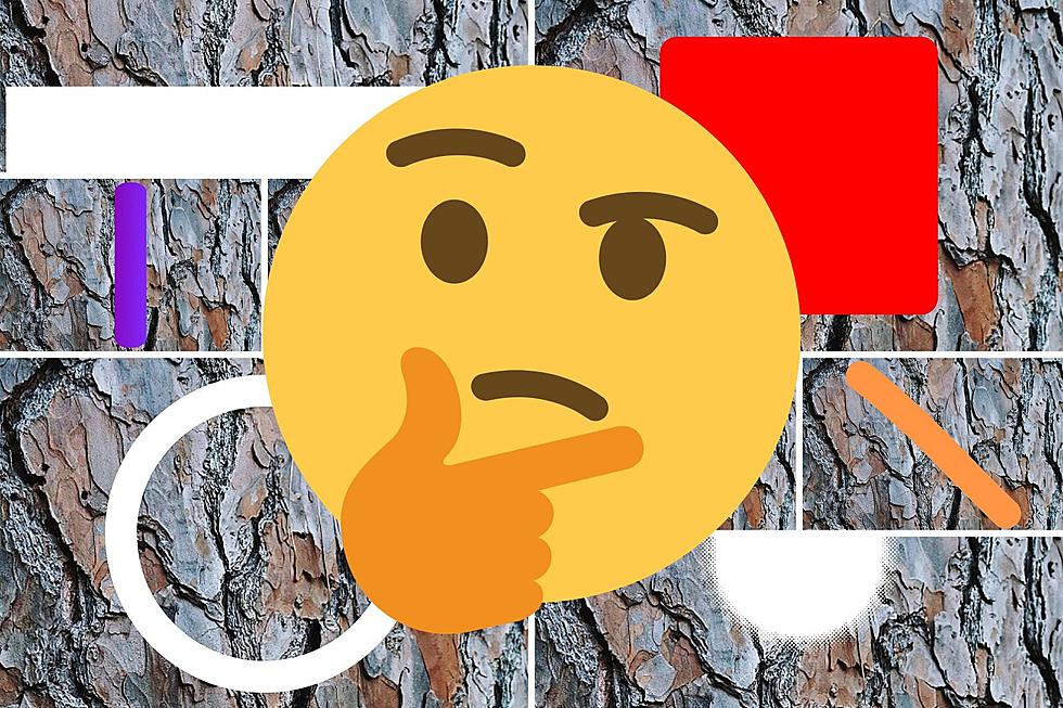 You Could Be Arrested if You Ignore 1 of These 8 Symbols Painted on a Tree in Texas