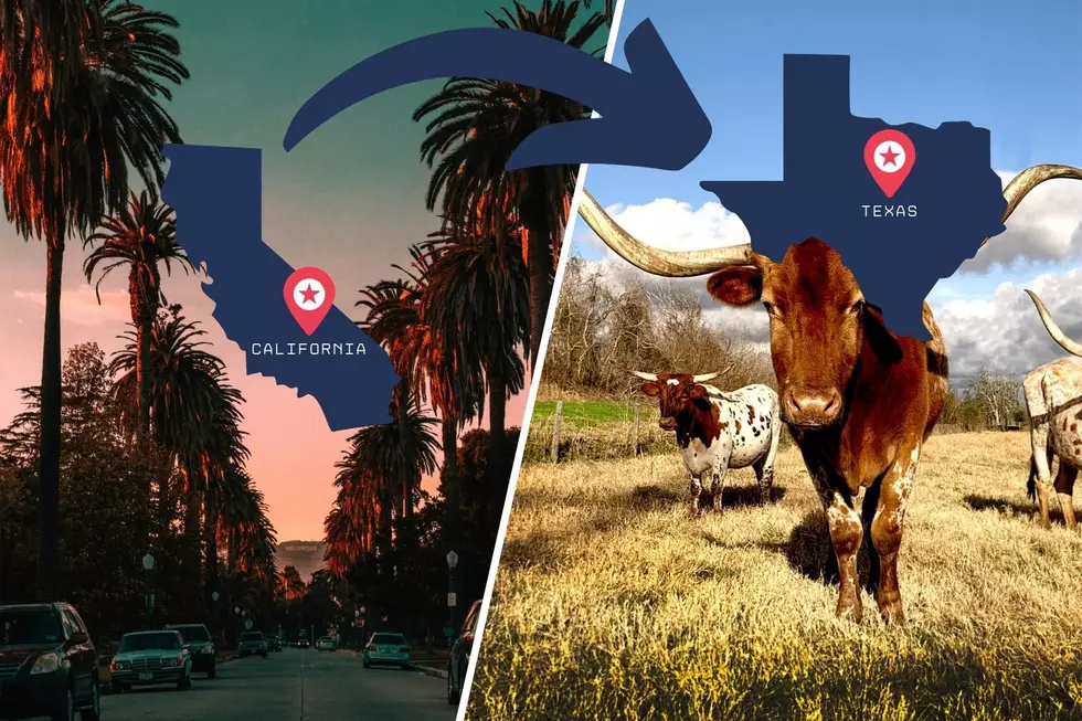 Beware Californians: You MUST Learn This 1 Thing Before Moving to or Visiting Texas