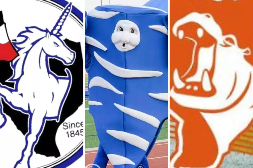 The 10 Strangest High School Mascots You'll Find in Texas