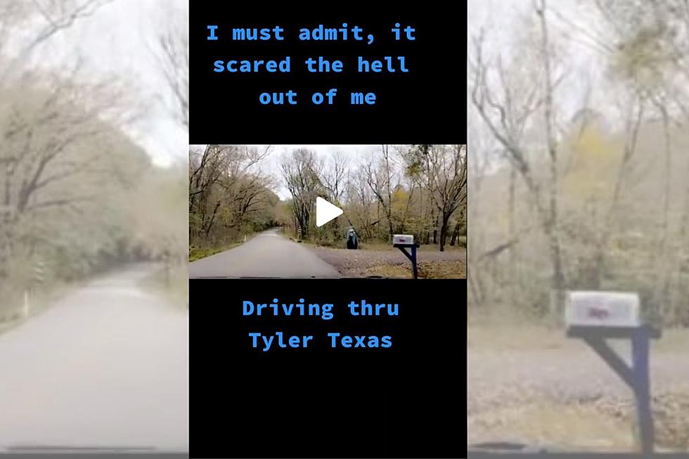TikTok Video Shows Unexpected Thing Near Road in Tyler, Texas