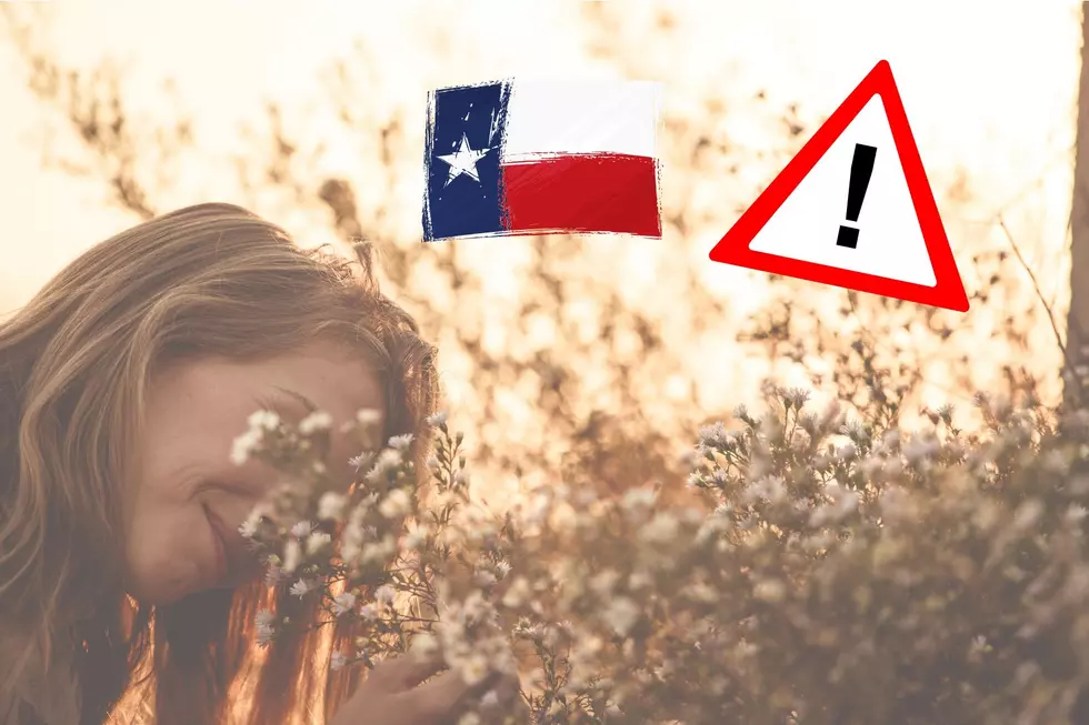 Make Sure to Avoid These Poisonous Plants in Texas