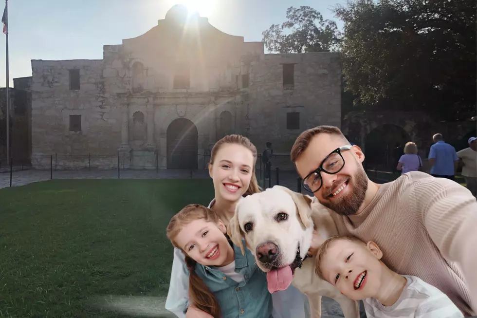 Vacationing With a Dog? Here Are The Top Texas Cities To Visit
