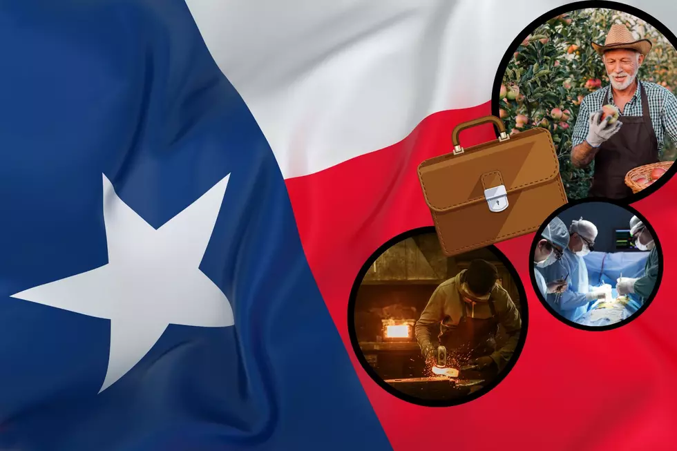 The Top Occupations in Texas 150 Years Ago are Surprising