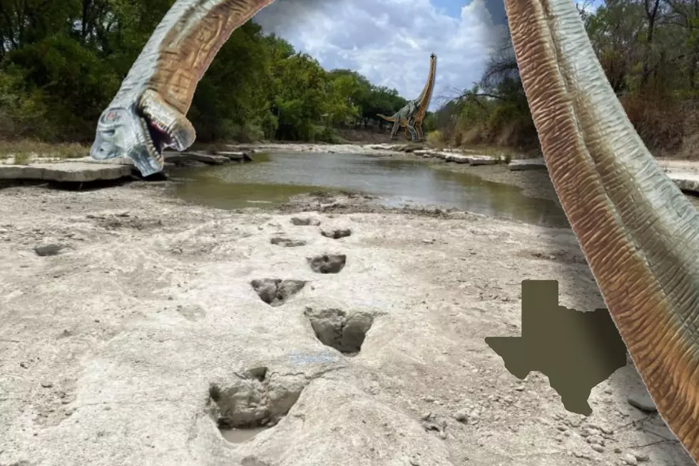 Did You Get a Chance To See All These Real Dinosaur Tracks in Texas River?