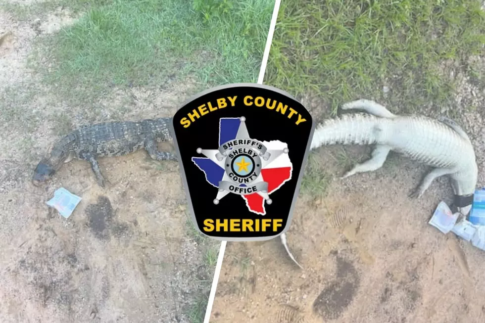Horrible Shelby County, Texas Person Killed and Dumped an Alligator at Boat Ramp
