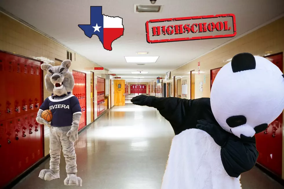 Let’s Look at the Unusual School Mascots Found in Texas