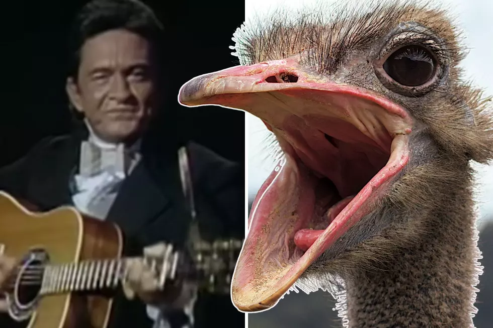 He Fought An Ostrich, 10 More Random Johnny Cash Facts You Didn’t Know