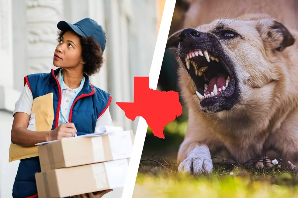 Texas Cities are Horrible About Dog Bites to USPS Workers