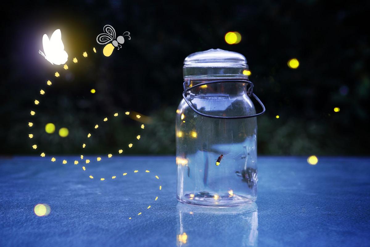 Read more about the article How we can help bring more fireflies back to Texas