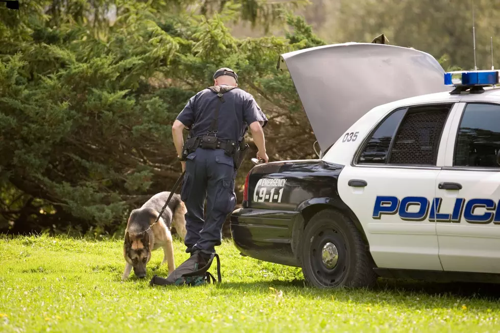 Police Search