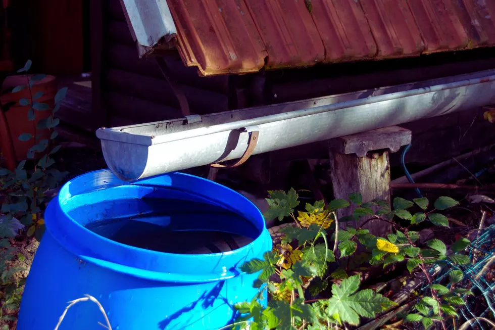 collecting rainwater
