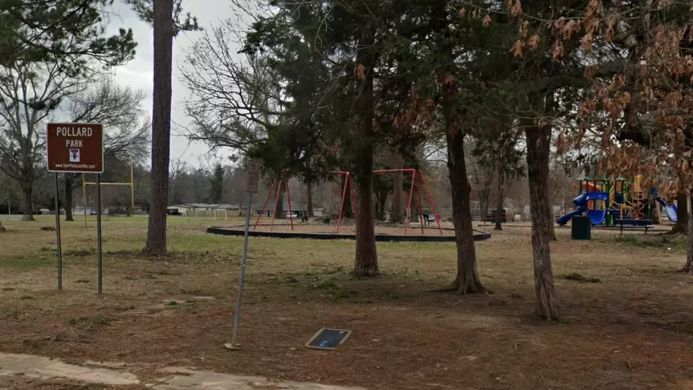 East Texas Man Gets 16 Years After Disturbing Park Incident