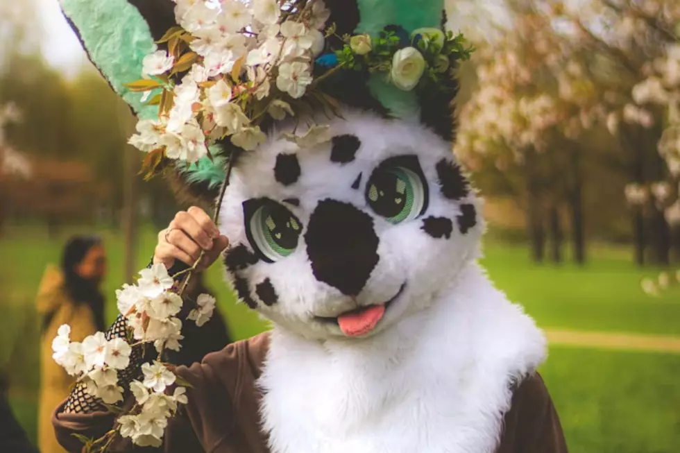 Federal Judge Sends Texas 'Furry' to Prison for 20 Years