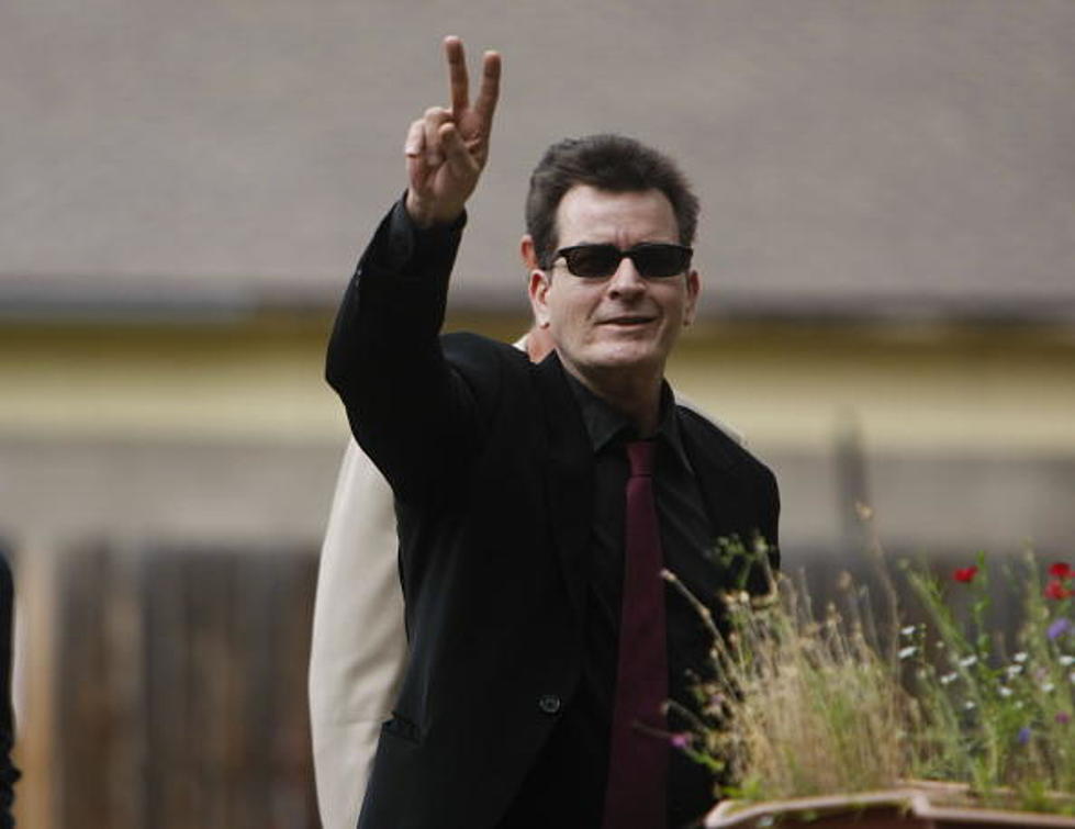 Charlie Sheen Immortalized With New Website