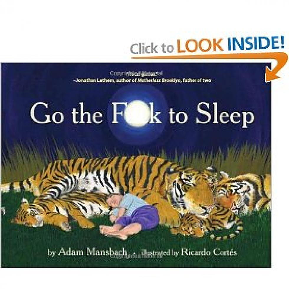 The Most Awesome Book Ever-“Go The F#@k To Sleep!” [VIDEO]
