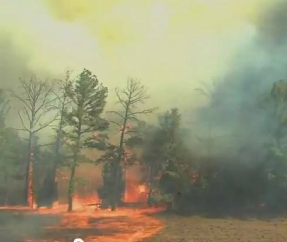 Watch How Fast Wildfires Spread [VIDEO]