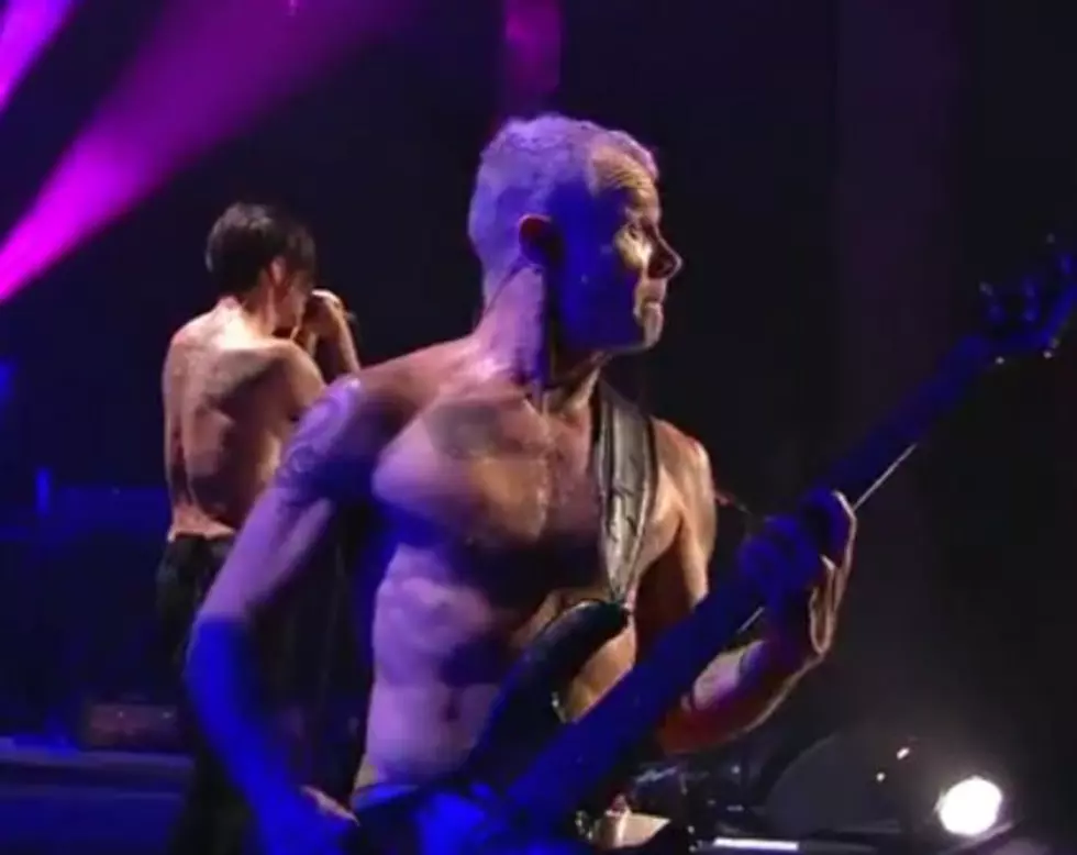 Red Hot Chili Peppers Tour Put On Hold