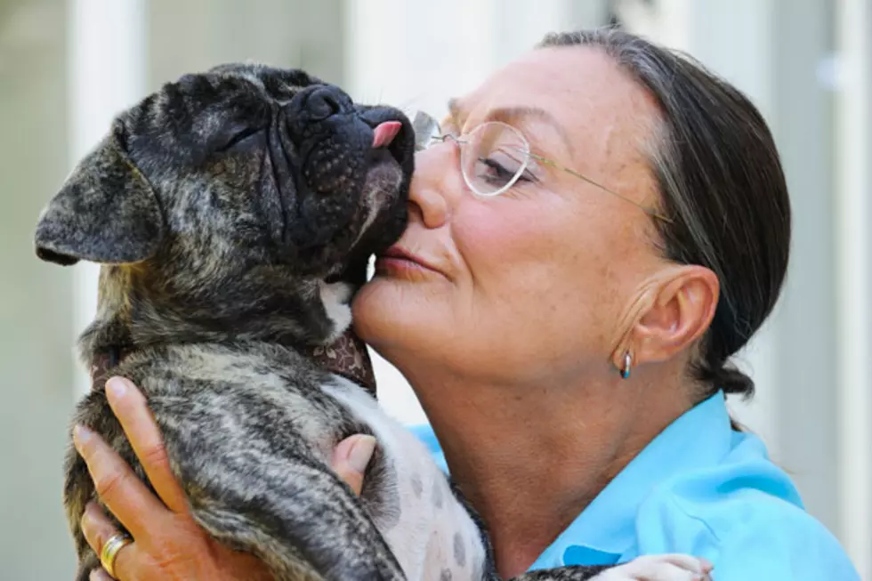 Lubbock Needs to Invest in a Full-Time Vet for Animal Shelter