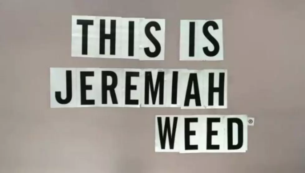 ZZ Top Debuts New Single in Jeremiah Weed Commercial [VIDEO]