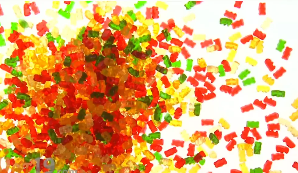 How To Make Vodka Soaked Gummy Bears [VIDEO]