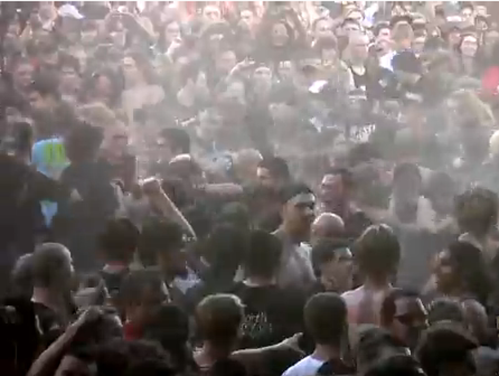 Scientists Conduct Study: Why Do People Mosh [VIDEO]