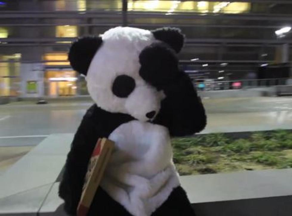 Dude Perfect Is Back With A Panda And A Pizza