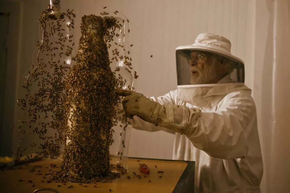 Dewar’s Used Bees To “Print” a 3D Bottle Of Their New Whiskey [VIDEO]
